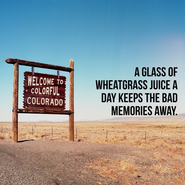 0_1504426322086_aXm4743xjU - a glass of wheatgrass juice a day keeps the bad memories away.jpg