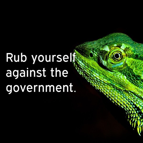 0_1504600781810_aXm2531xjU - rub yourself against the government.jpg