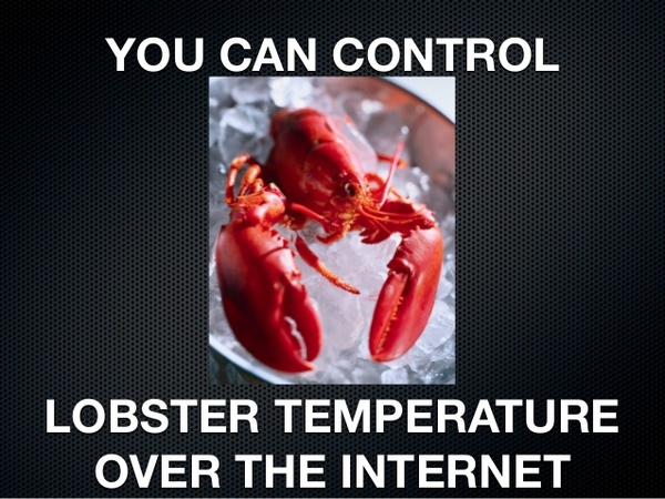 0_1507404769790_internet-enabled-lobster-tanks.jpg