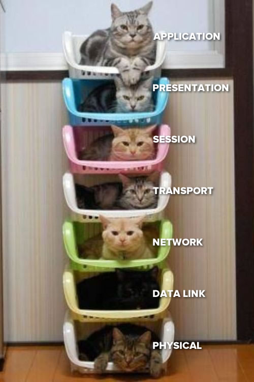 0_1524070665320_osi-network-layer-cats.jpg
