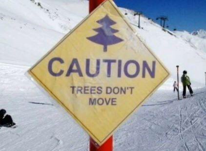 warning_trees_do_not_move.jpeg