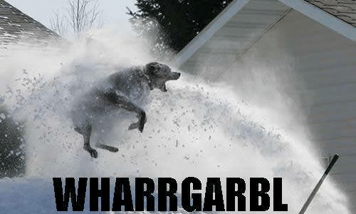 wharrgarbl-9850425.png