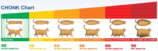 chonk_chart_extra_large.png