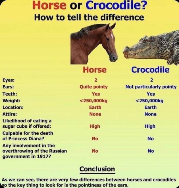 there-are-very-few-differences-between-horses-and-crocodiles-so-key-thing-look-is-pointiness-ears.jpg