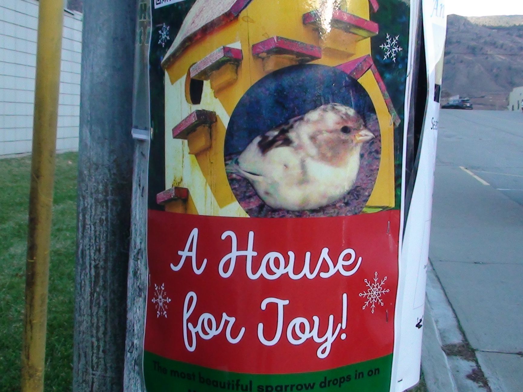 A House for Joy best poster 202111161624 DSC01739.JPG