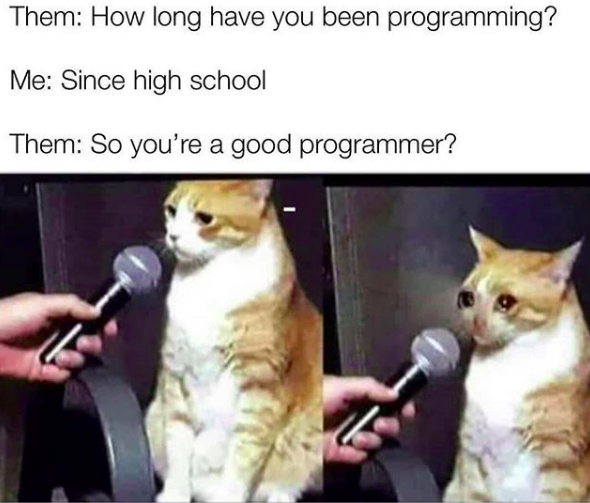 good-programmer-meme.png