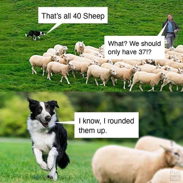 shepherdsdog.png