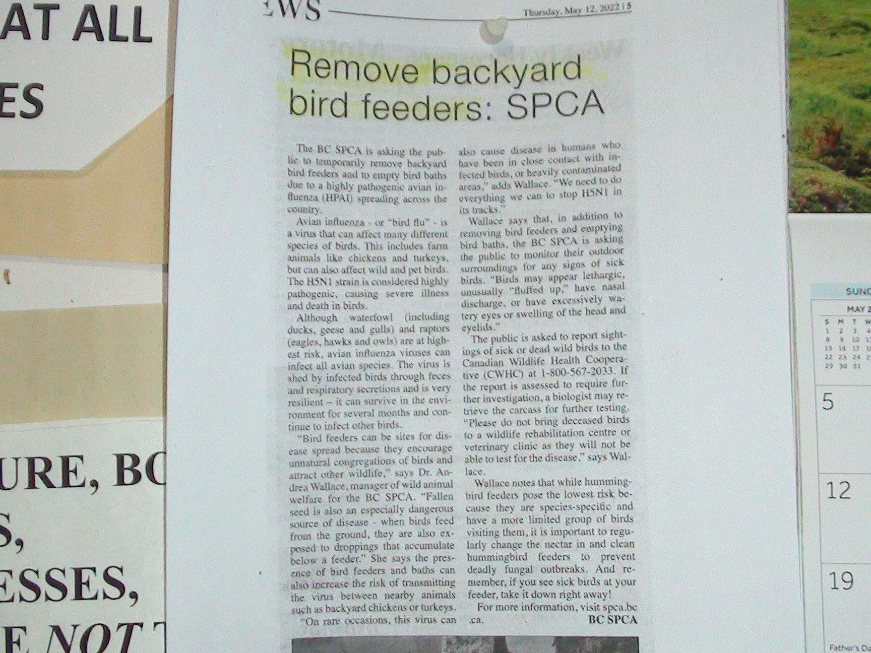 spca says remove outdoor bird feeders whatever double whatever DSC01770.JPG