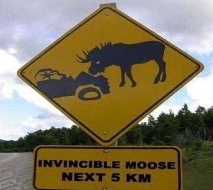 invincible-moose-the-sign-cropped.jpg