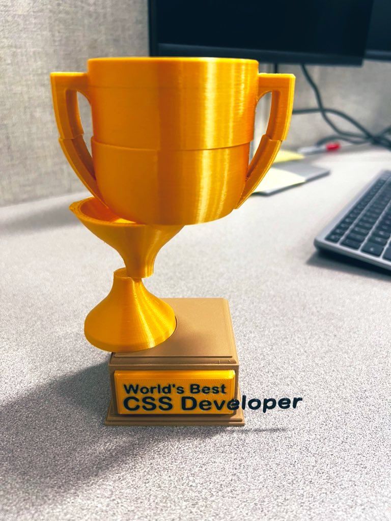 World's Best CSS Developer Trophy.jpg