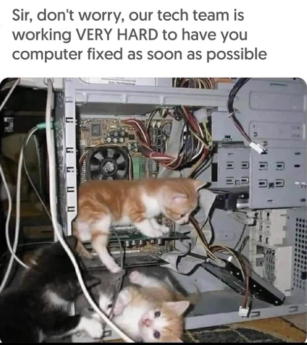 tech-kittens.png