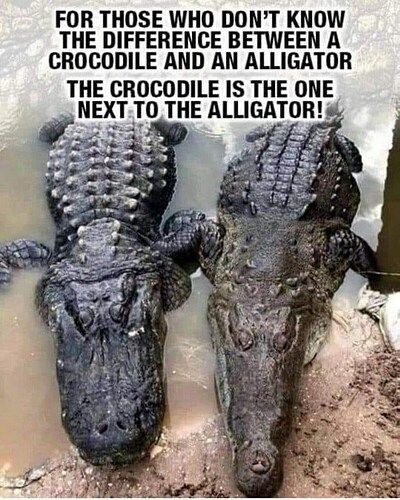 Alligator-Crocodile.jpeg