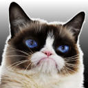 :grumpy-cat: