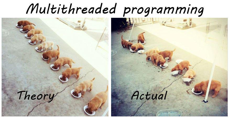 Multithreading Dogs