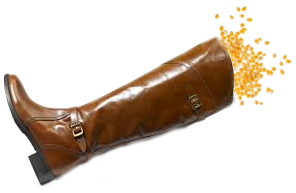 Too many kernels inside my boot!